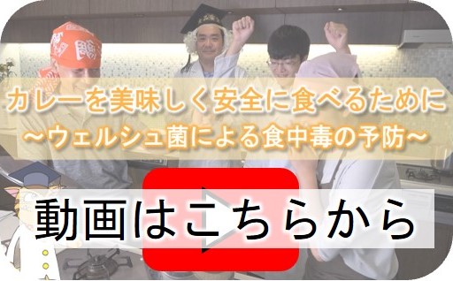 動画はこちらから