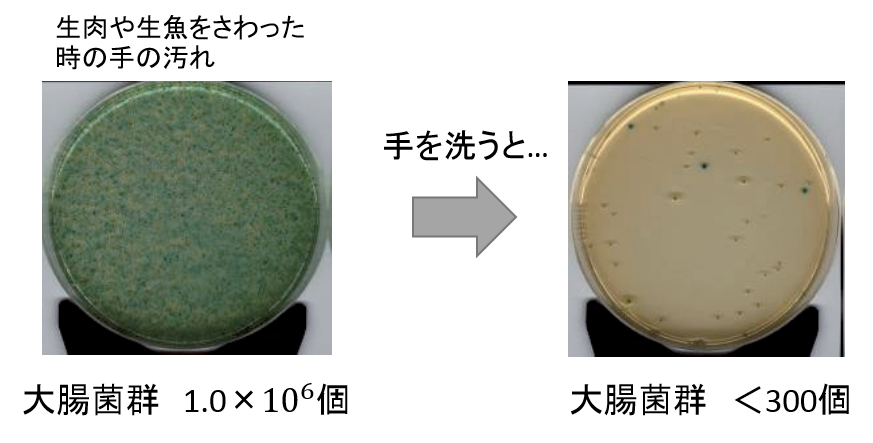 手を洗うと、手についた細菌やウイルスをおとすことができます