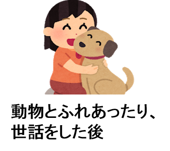 動物とふれあったり、世話をした後