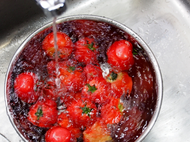 ミニトマトを洗う