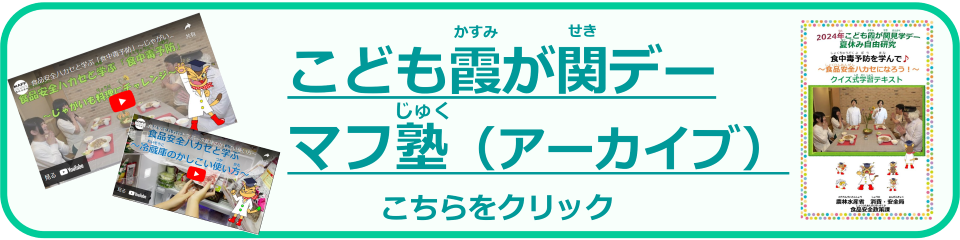 子ども霞が関デーマフ塾アーカイブ