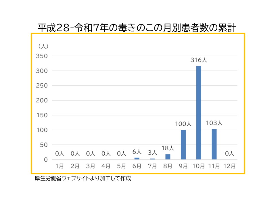 平成28年から令和7年の毒きのこ月別患者数の累計　1月から5月0人　6月6人　7月3人　８月18人　９月100人　10月316人　11月103人　12月０人　合計546人　厚生労働省ウェブページより加工して作成