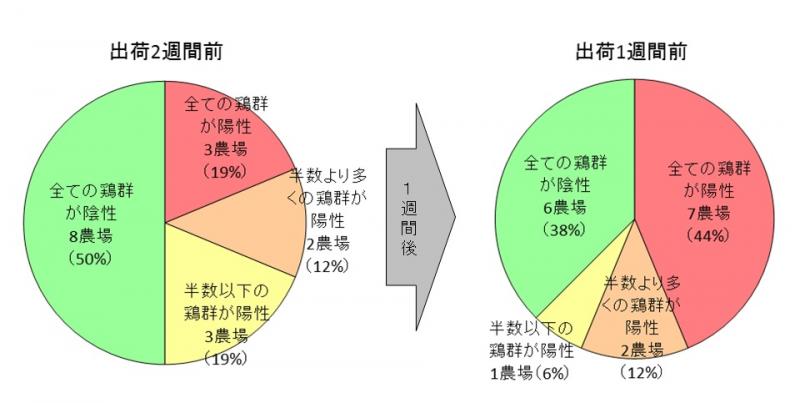 図1:農場内の鶏群のカンピロバクター保有状況の変化（2時点間）