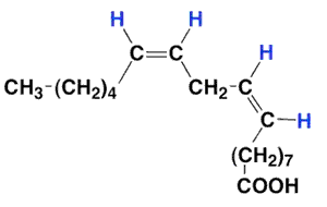 シス脂肪酸(シス型とシス型)