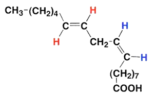 トランス脂肪酸(トランス型とシス型)