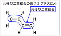 共役型二重結合の例（1,3-ブタジエン）