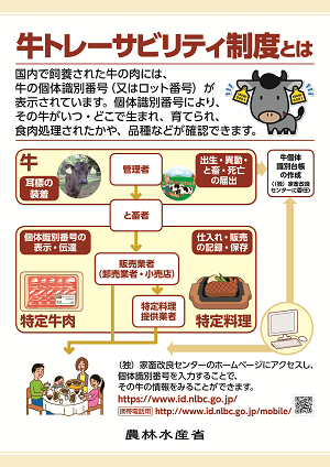 消費者向けポスター