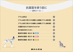 「抗菌薬を使う前に」資料表紙画像