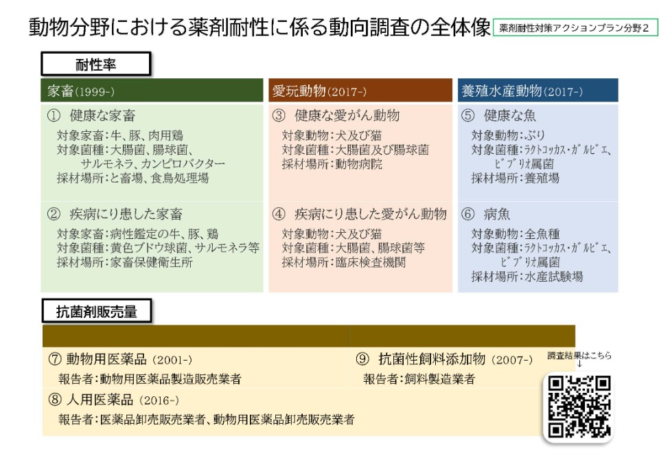 動物分野の薬剤耐性に係る動向調査
