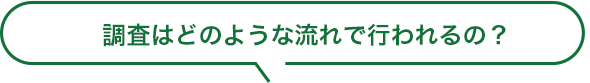 調査はどのような流れで行われるの？