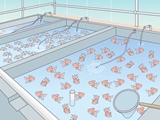 きんぎょ養殖