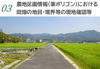 3.農地区画情報（筆ポリゴン）における田畑の地目・境界等の現地確認等