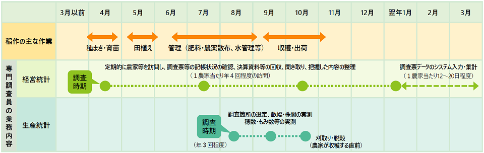 図：専門調査員の業務内容。経営統計：定期的に農家等を訪問し、調査票の回収を行い、システムに入力する（訪問は1農家当たり、年に4回ほど）。収支の年計取りまとめ（1農家当たり6日ほど） 。生産統計：時期ごとに、田植え、出穂、刈取の状況を把握する。 時期ごとに、穂数やもみ数を計測し、刈取調査を行う。