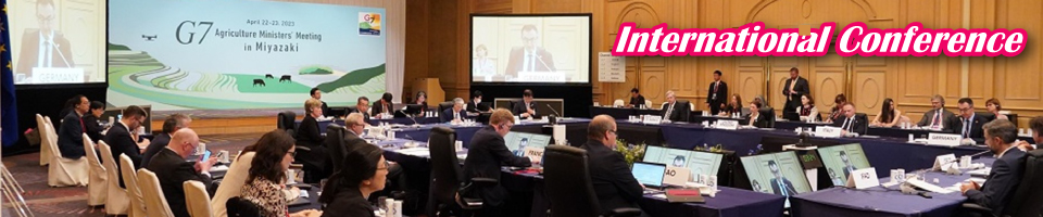 国際のイメージ