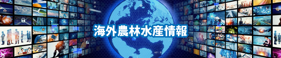 国際的なイメージ画像