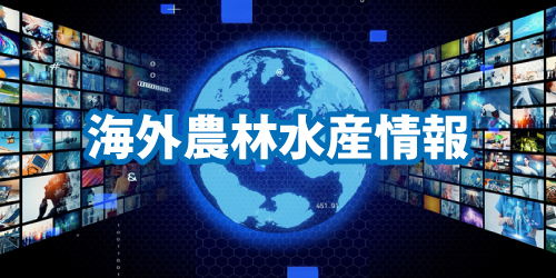 国際的なイメージ画像（スマホ用）