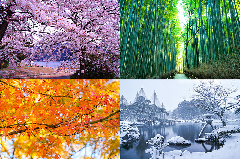 四季を感じる料理