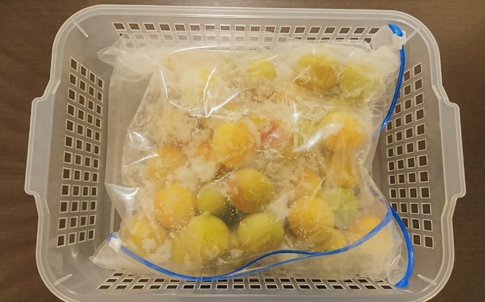 ストックバックに塩と入れた梅の画像