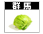 キャベツ画像群馬リンク