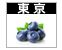 ブルーベリー画像東京リンク