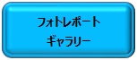 フォトレポートギャラリー