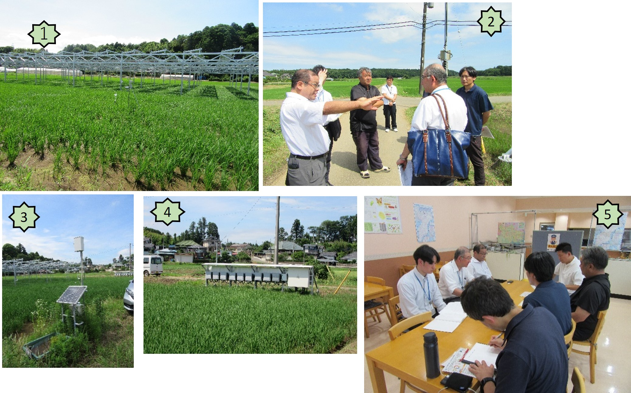 水田営農型太陽光発電