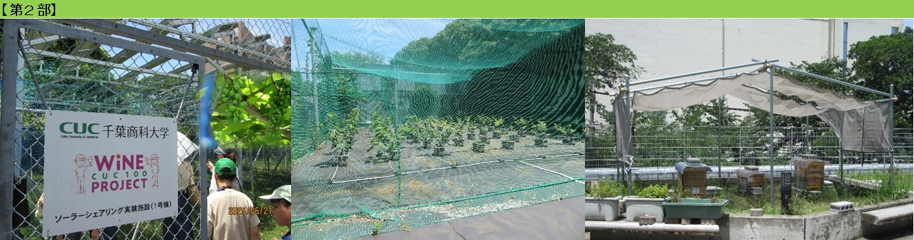 ワインプロジェクト