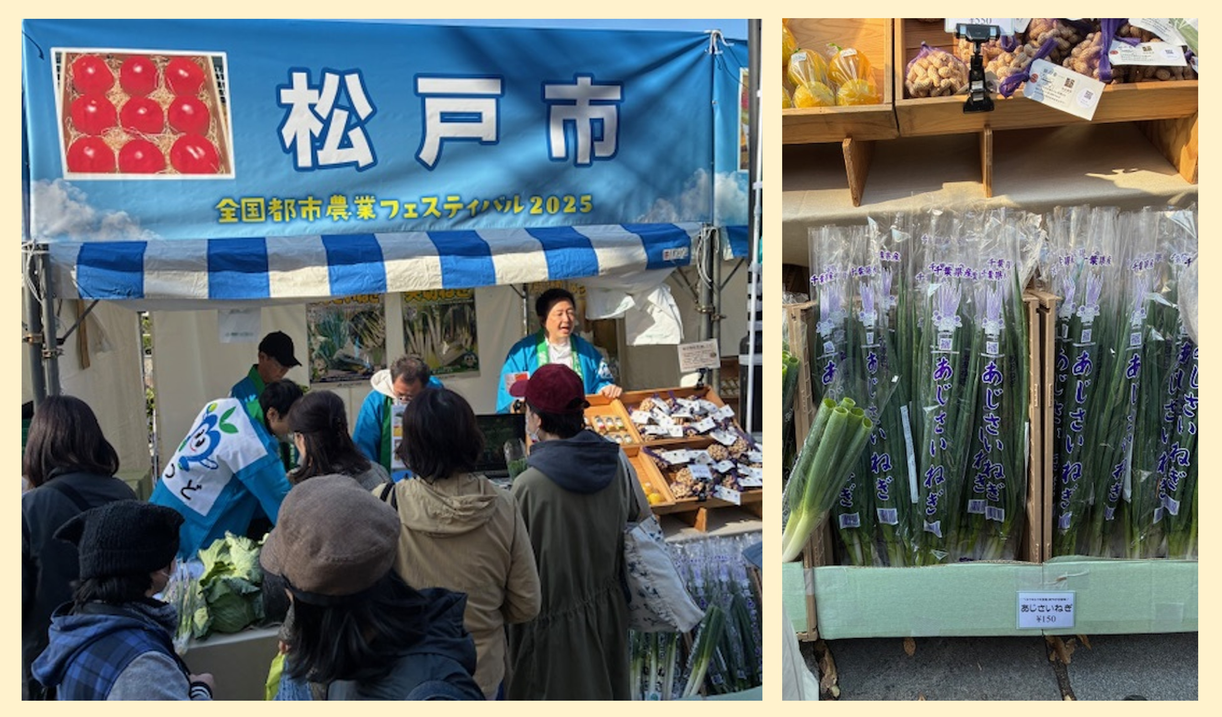 松戸市ブース