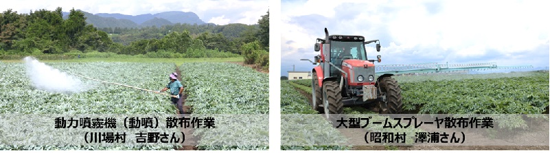 ボルドー液散布作業