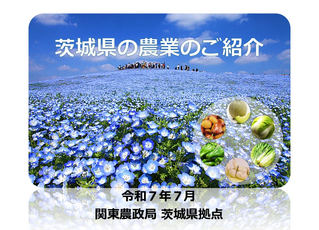 茨城県の農林水産業について（令和７年度）