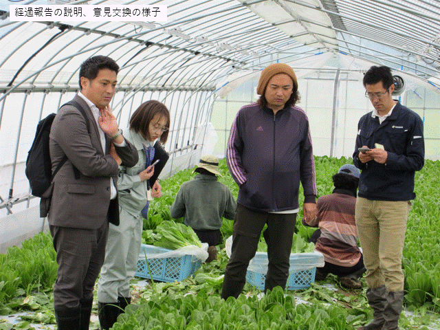 バイオ炭の施用ほ場の見学及び意見交換のスライドショー