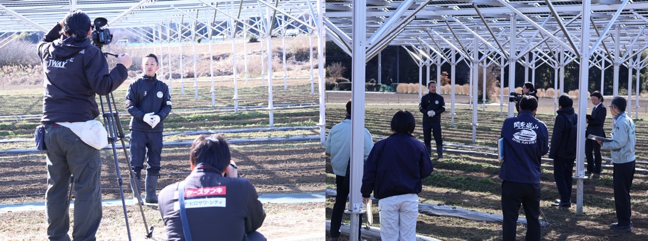 水戸ホーリーホックで圃場と営農型太陽光発電施設見学