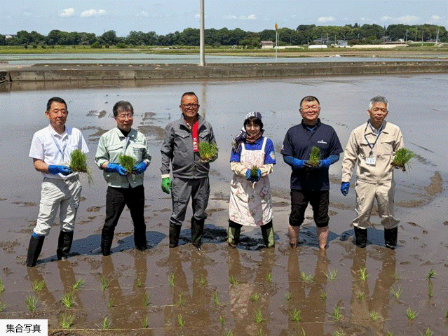フォトレポート_筑西市有機試験栽培に係る苗の定植会（5月11日）.gif