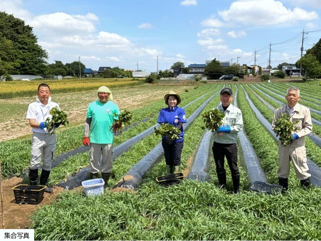 筑西市有機甘藷試験栽培に係る苗の定植会（5月25日）.gif