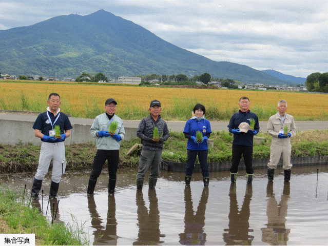 フォトレポート_筑西市有機水稲試験栽培に係る苗の定植会（5月28日）.gif