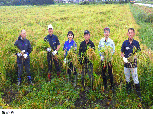 筑西市有機水稲試験栽培に係る収穫祭（9月16日）の様子スライドショー