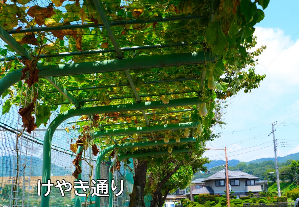 大井町けやき通りのひょうたん