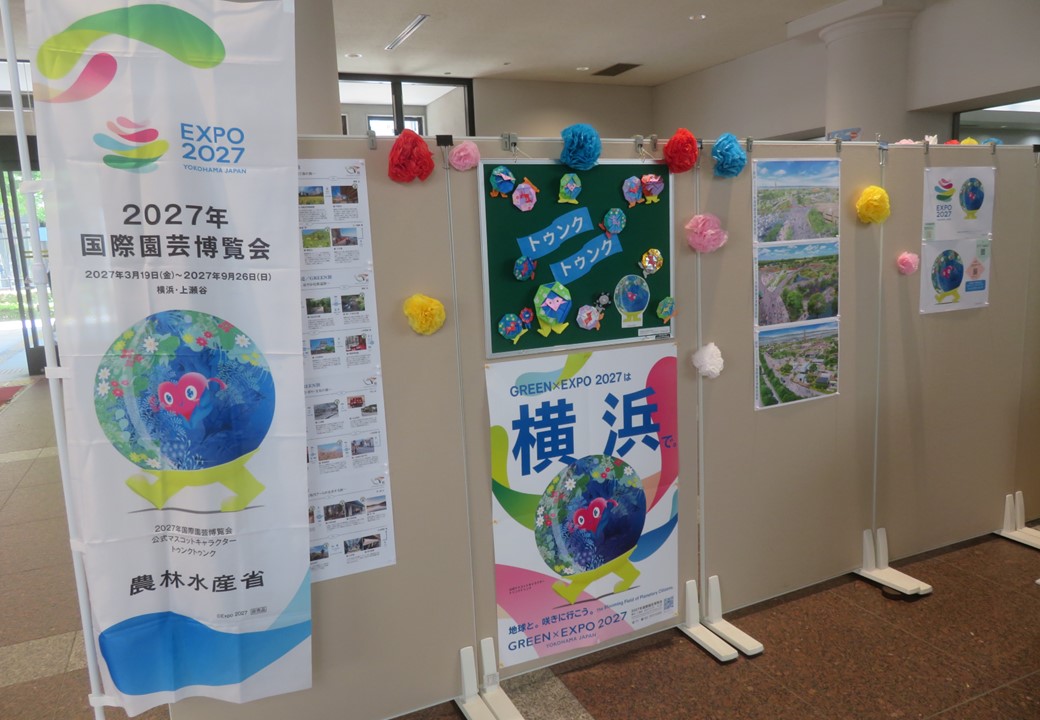 展示の様子
