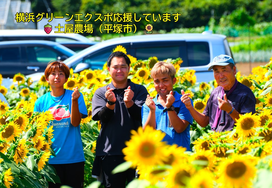 平塚市にある土屋農場さんの皆様がひまわり畑でポーズをとっている写真