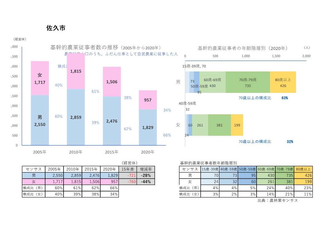 基幹的農業従事者数の推移_佐久市