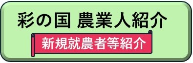 彩ねっとリンクボタン