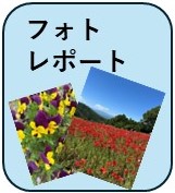 フォトレポート