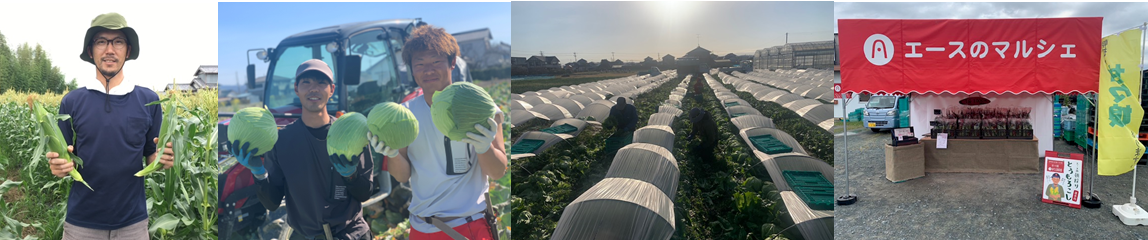 株式会社エース