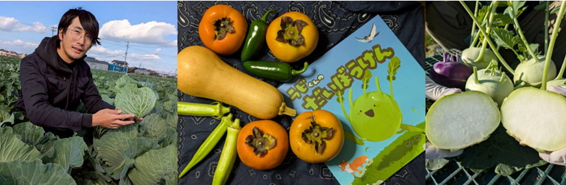 アグレスノーバ