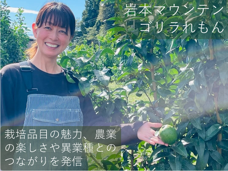 岩本マウンテンゴリラれもん