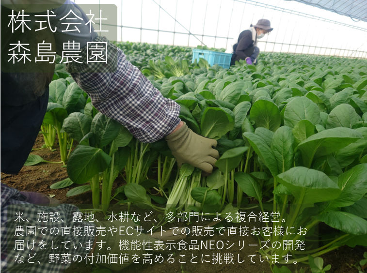 株式会社森島農園