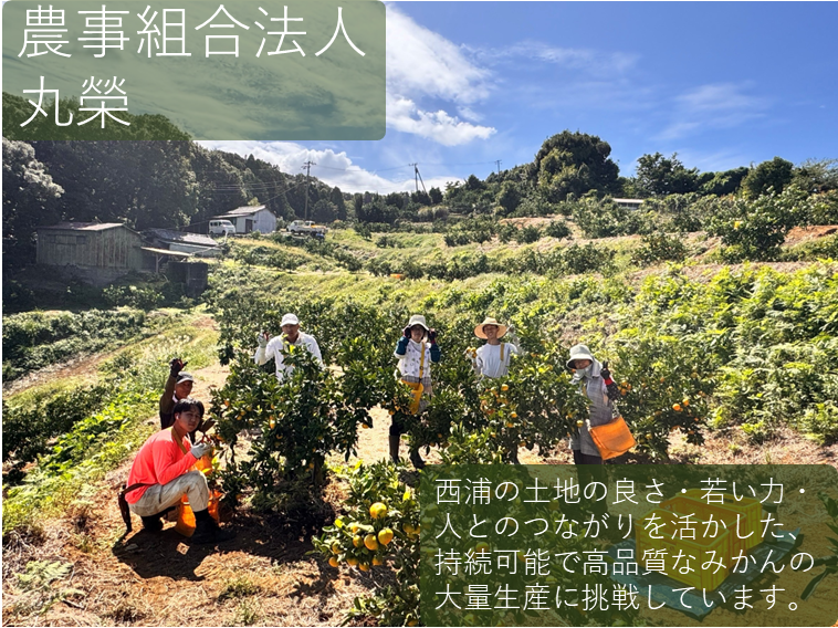 農事組合法人丸榮