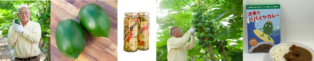 御前崎パパイヤ農園