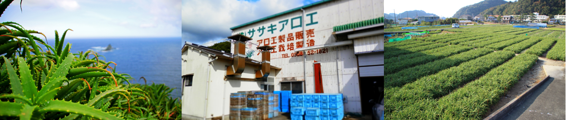 株式会社ササキアロエ