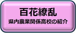百花繚乱